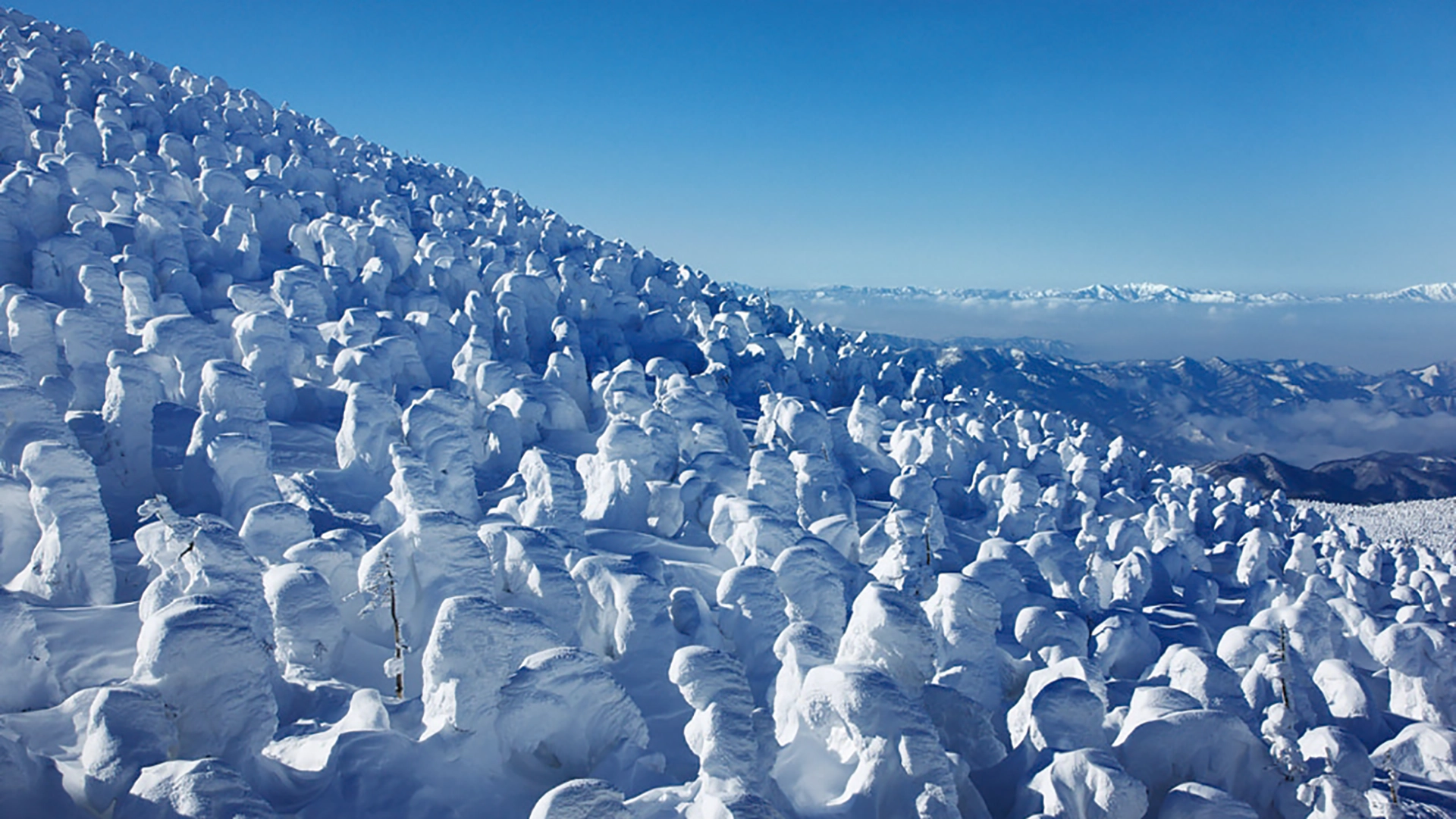蔵王 山形県 宮城県 エリア一覧 ジャパンエコトラック公式サイト Japan Eco Track