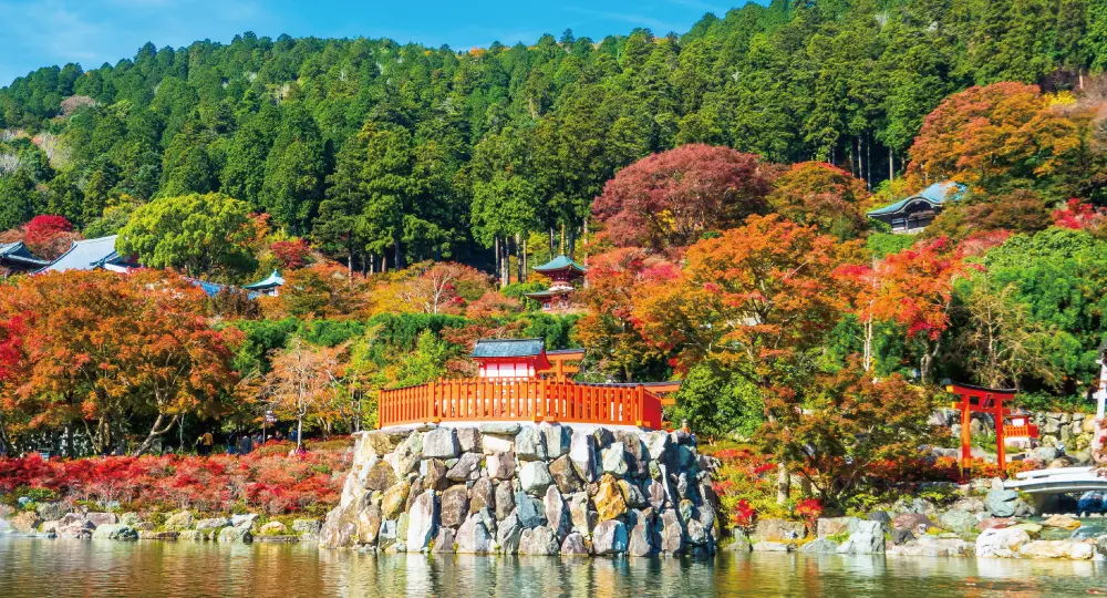箕面｜エリア一覧｜ジャパンエコトラック公式サイト｜JAPAN ECO TRACK