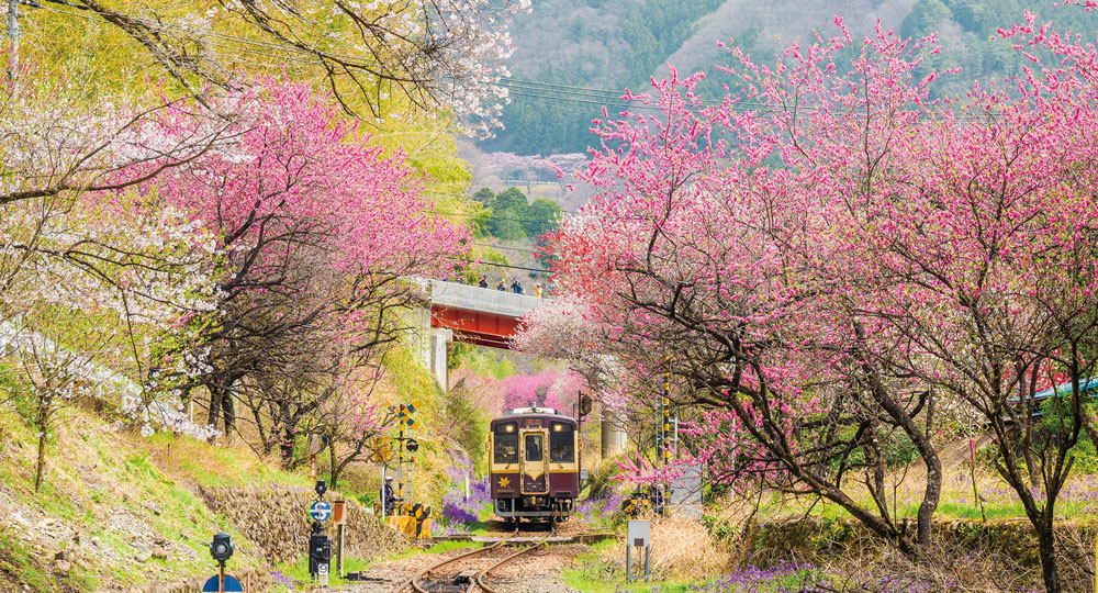 わたらせ渓谷(群馬県)｜エリア一覧｜ジャパンエコトラック公式サイト