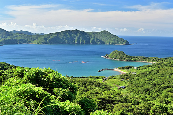 南の島 南さつま(鹿児島県)｜エリア一覧｜ジャパンエコトラック公式サイト