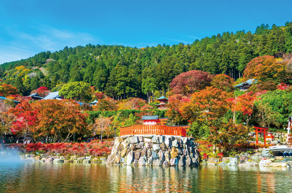 箕面｜エリア一覧｜ジャパンエコトラック公式サイト｜JAPAN ECO TRACK